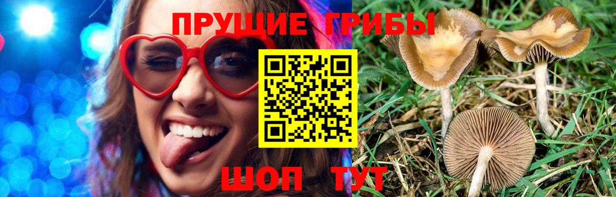 Магадан  Псилоцибиновые грибы MAGIC MUSHROOMS  Вход с VPN 